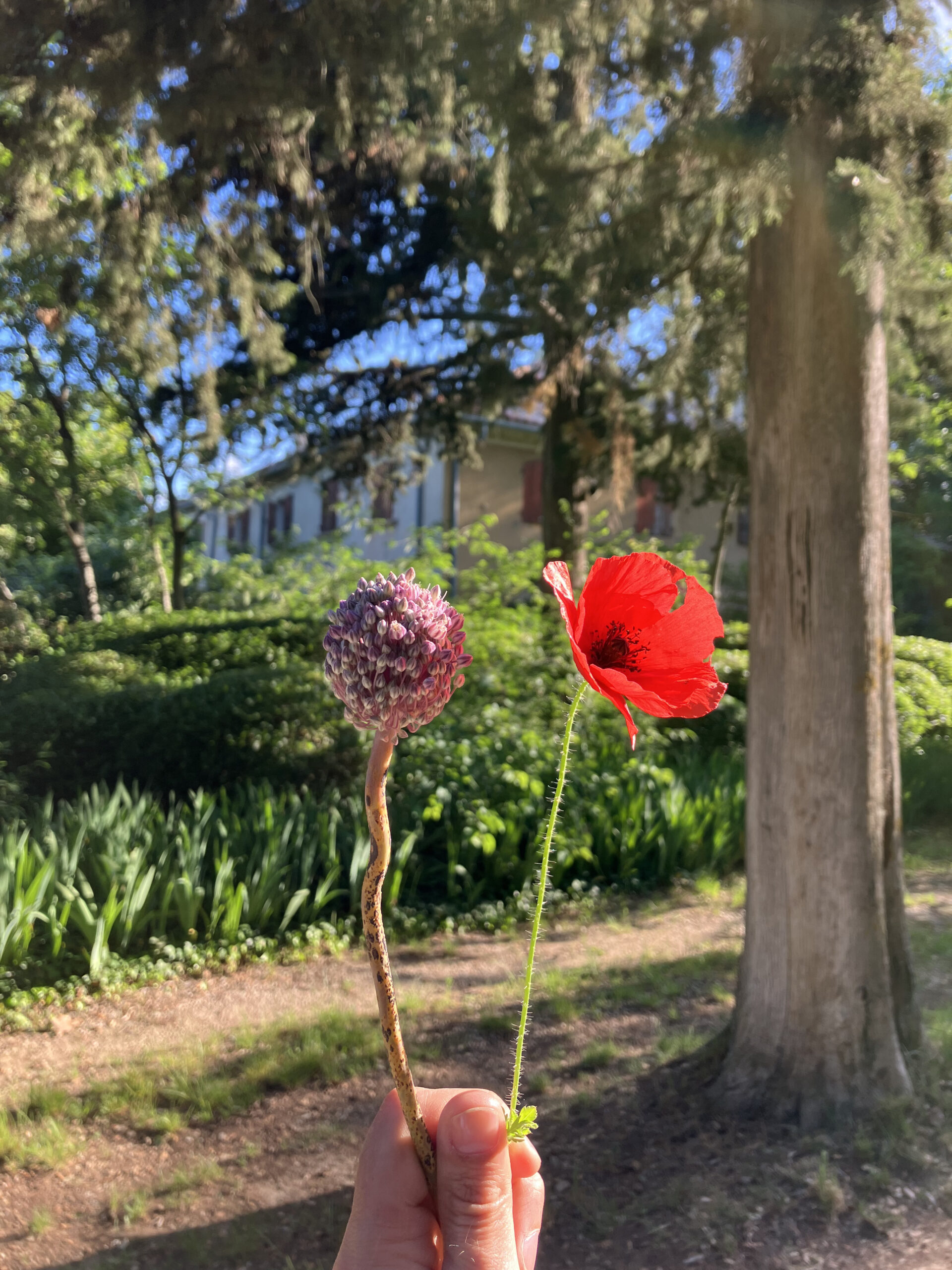 Parc Fleurs1